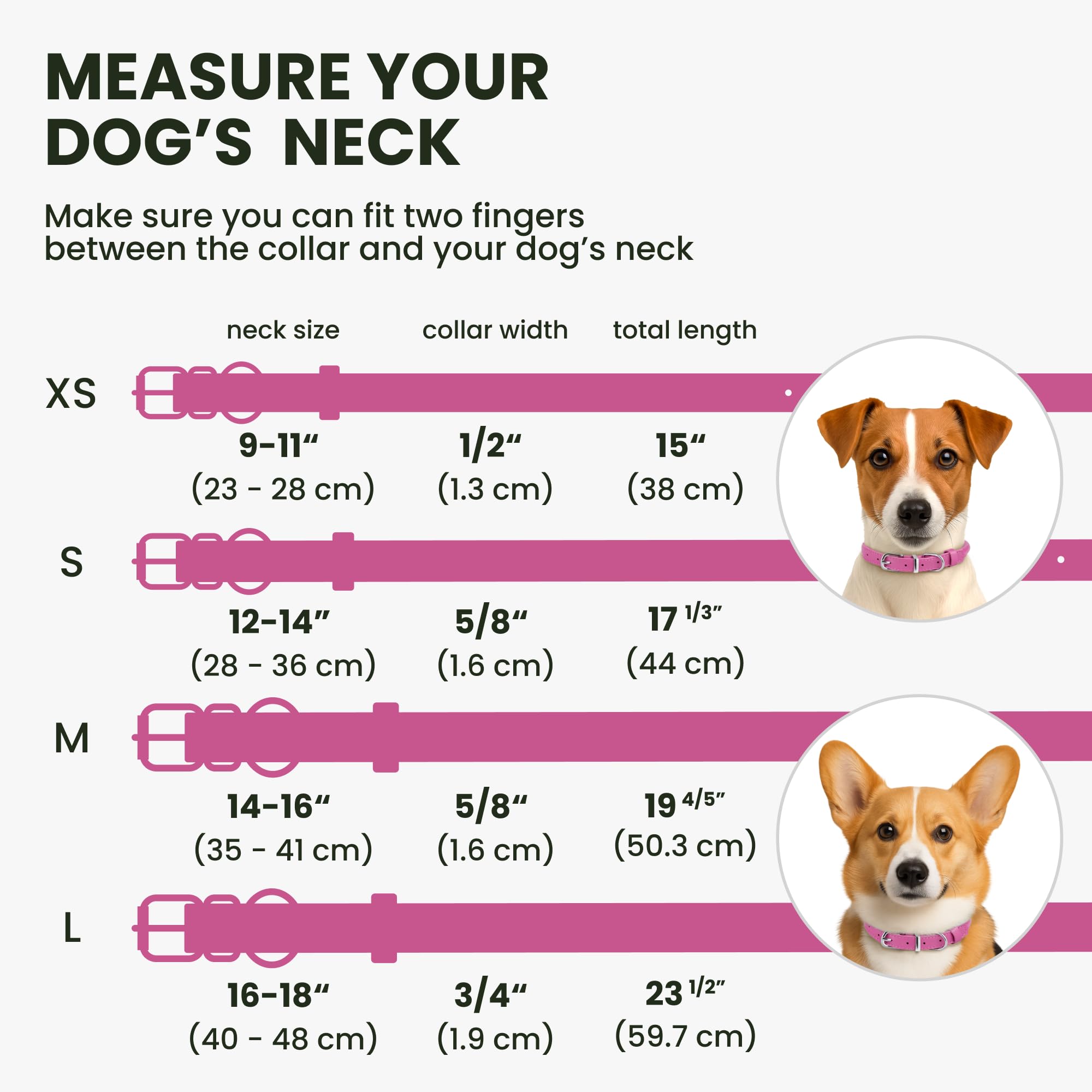 BRONZEDOG hot pink color adds visibility and style for dogs