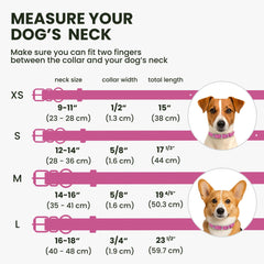 BRONZEDOG hot pink color adds visibility and style for dogs