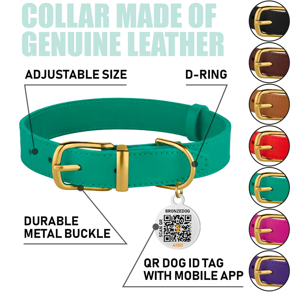 BRONZEDOG 19-21 inch adjustable leather collar fits dogs of various sizes.