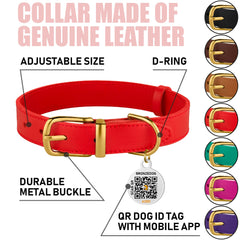 BRONZEDOG leather collar closeup hardware highlights sturdy metal hardware for lasting use.