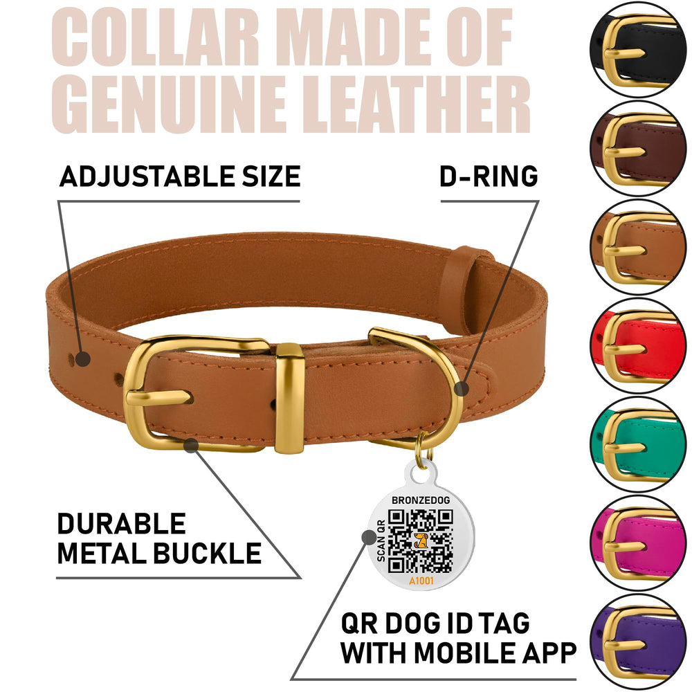 BRONZEDOG leather collar flat lay in light brown with gold buckle