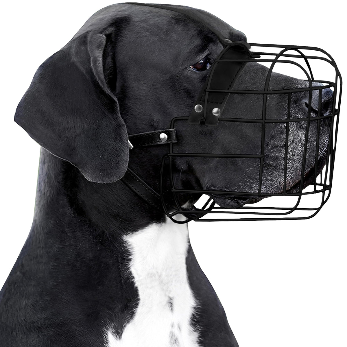 BRONZEDOG muzzle adjustable leather straps provide secure fit for large dogs.