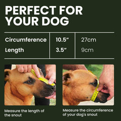BRONZEDOG leather-straps muzzle close-up for durable training stability.