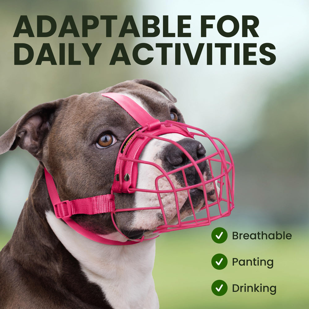BRONZEDOG pitbull muzzle allows small treats during safe training