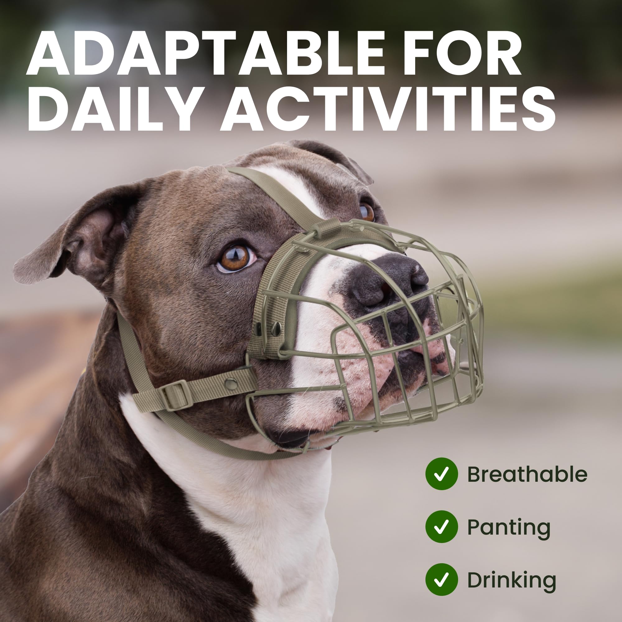 BRONZEDOG Pitbull muzzle adjustable straps focus on secure alignment during training.