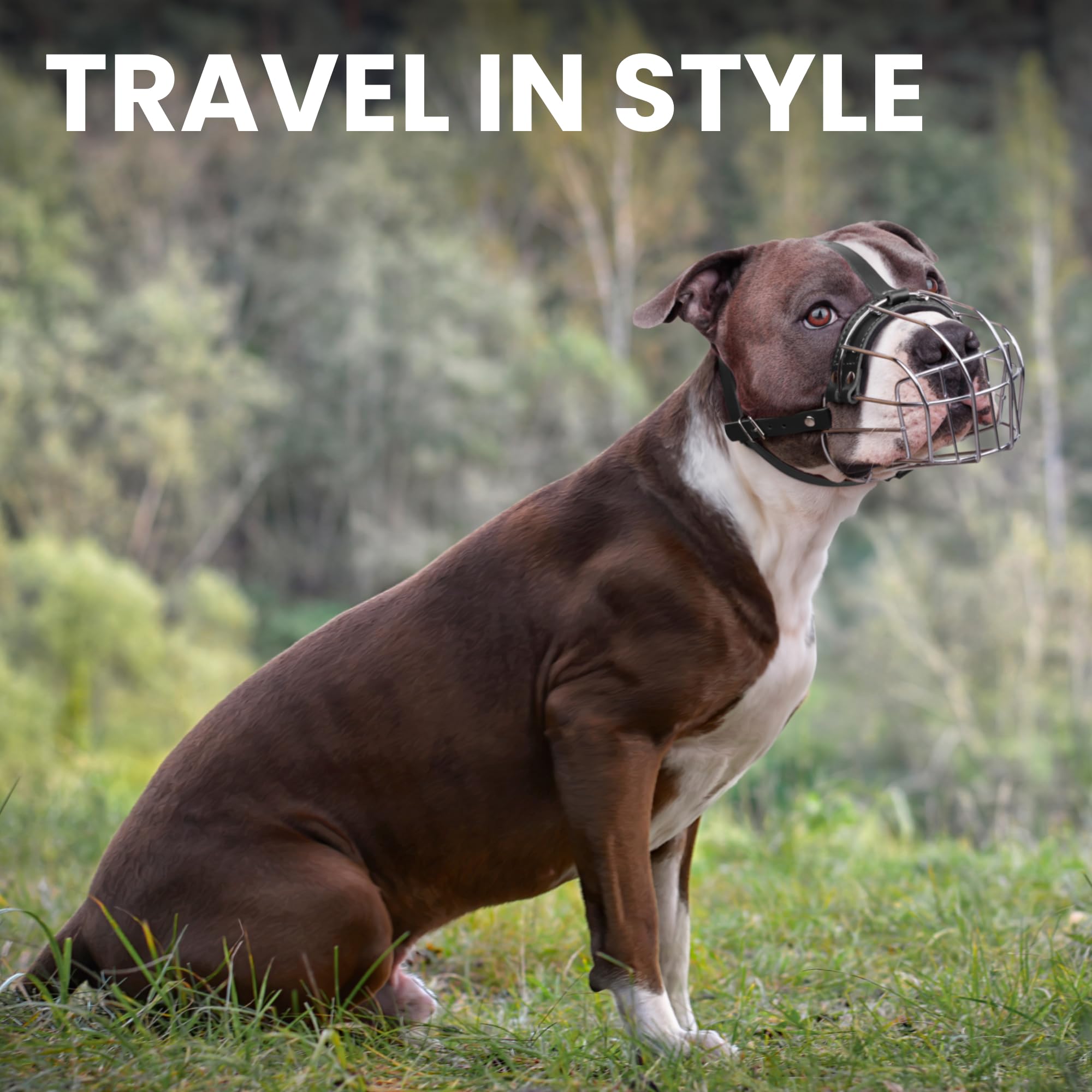 BRONZEDOG Pitbull muzzle durable steel construction for long-lasting use