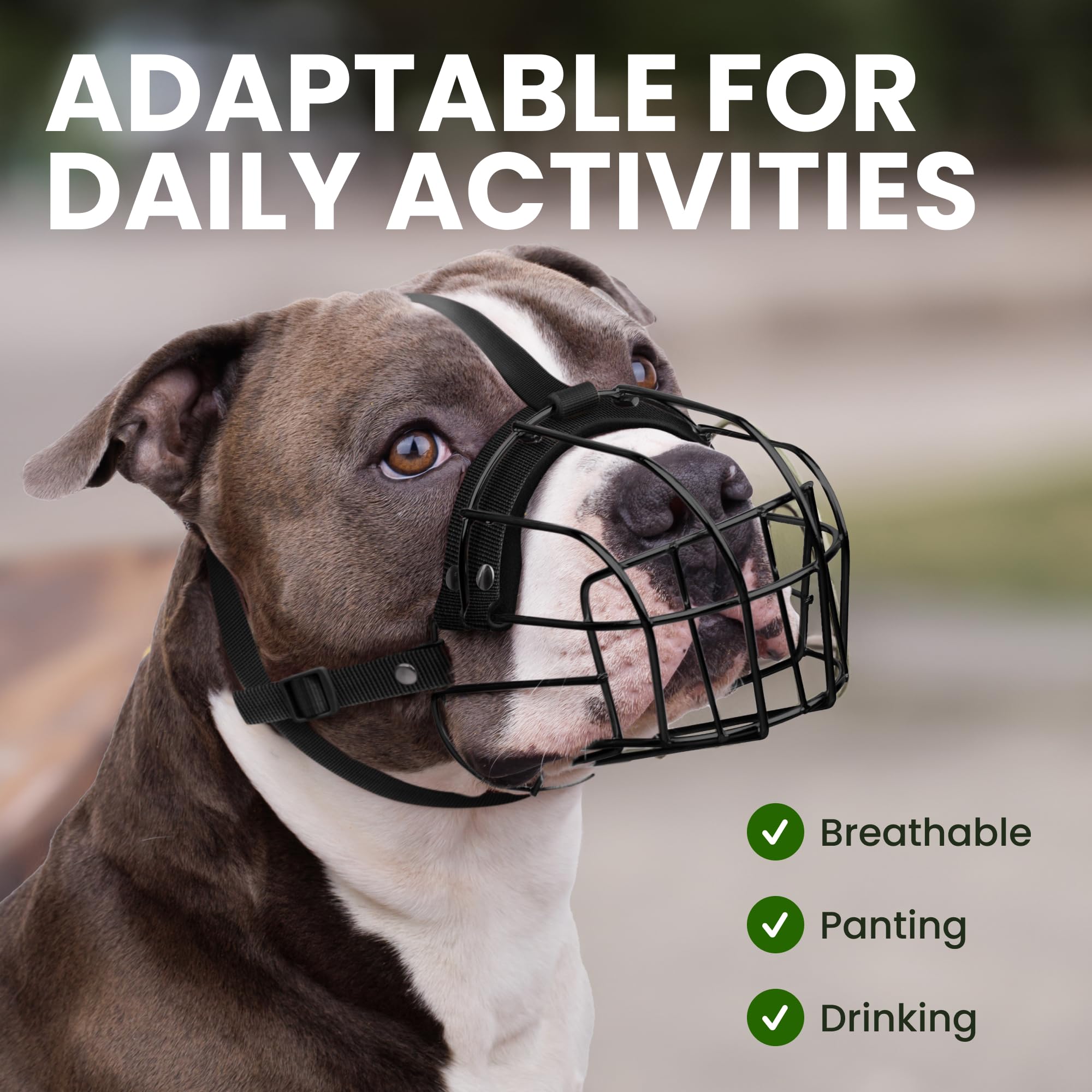BRONZEDOG Pitbull muzzle allows small treats during use.