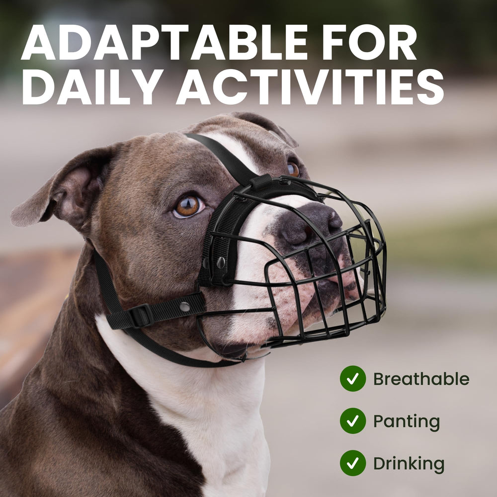 BRONZEDOG Pitbull muzzle allows small treats during use.