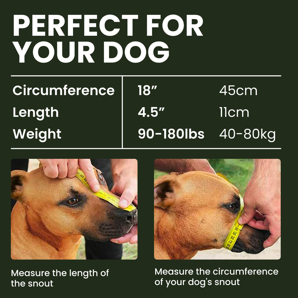 BRONZEDOG PVC wire basket muzzle front view supports safe restraint during walks.