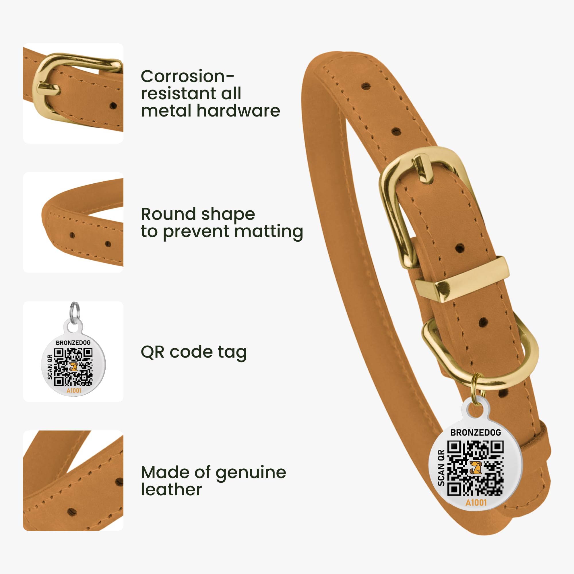 BronzeDog QR ID tag on collar for quick dog identification