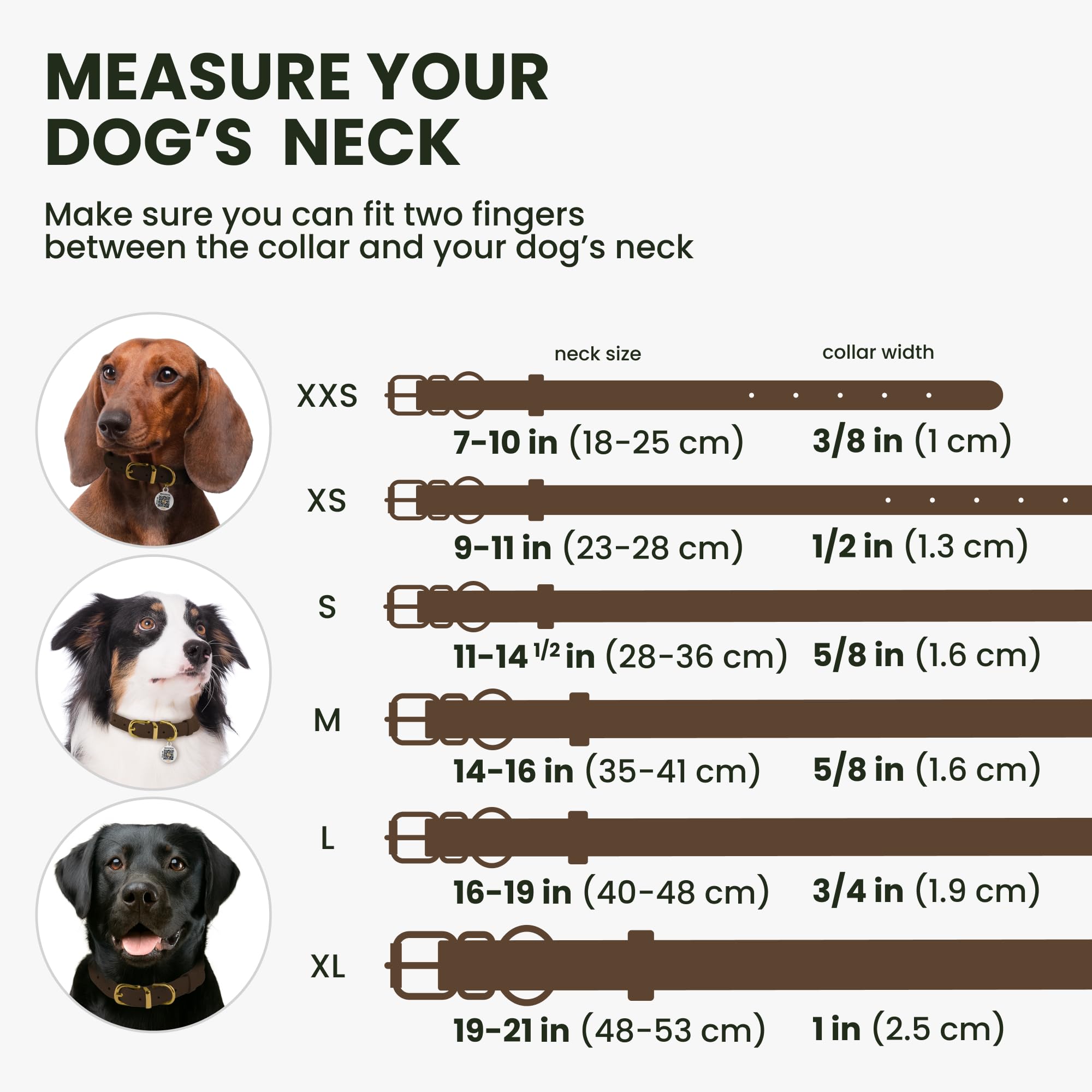 BRONZEDOG adjustable-fit rolled collar sits comfortably on dogs 14–16 inch necks.