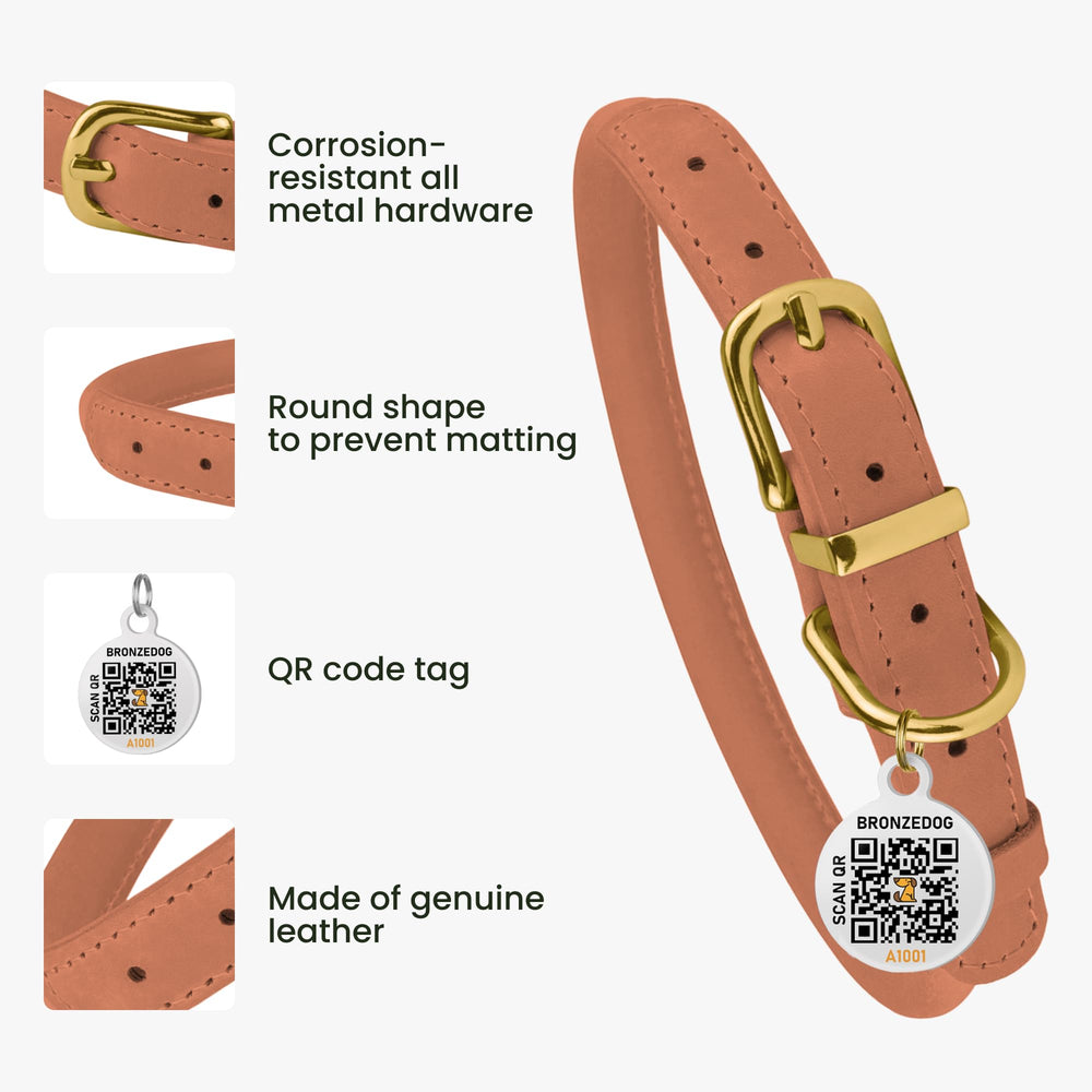 BronzeDog coral-pink rolled-leather collar side view highlights vibrant color and anti-tangle design.