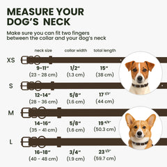 BRONZEDOG rolled leather collar D-ring detail for reliable leash attachment