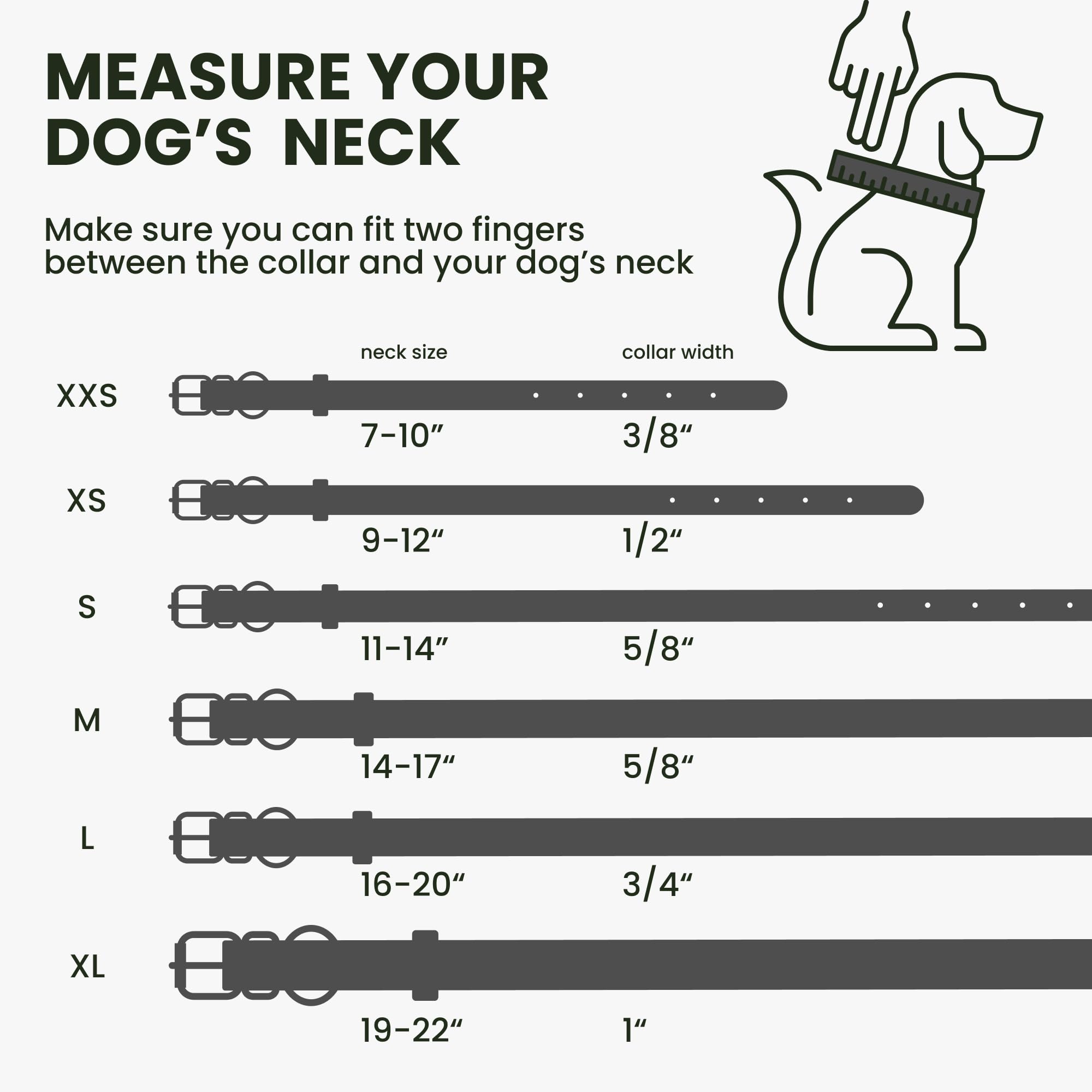 BronzeDog rolled-leather-collar hardware emphasizes durable black-plated components for daily use.