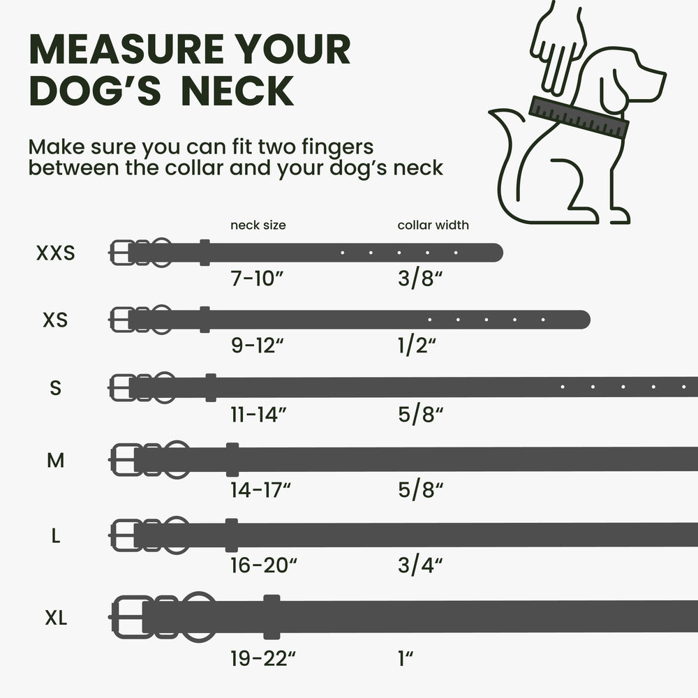 BronzeDog rolled-leather-collar hardware emphasizes durable black-plated components for daily use.