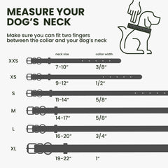 BronzeDog rolled-leather-collar hardware emphasizes durable black-plated components for daily use.