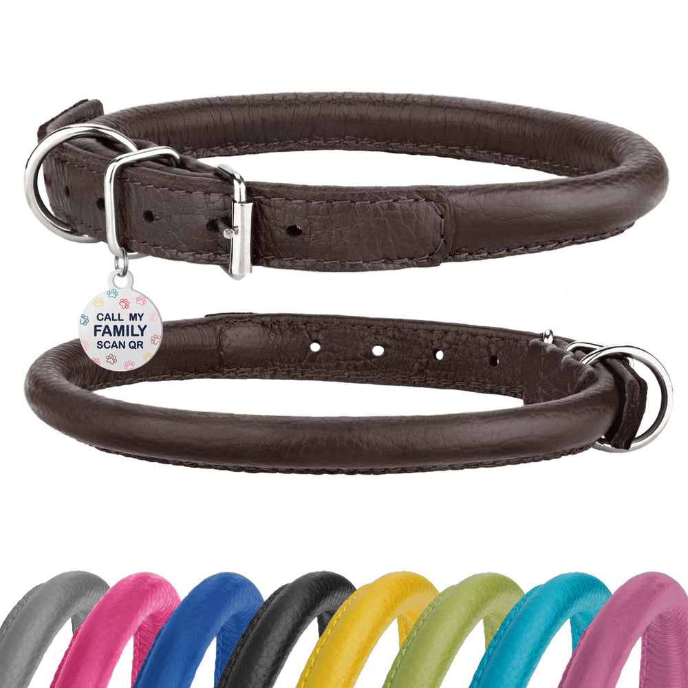 BRONZEDOG rolled-leather-collar on a dog's neck for comfortable daily walks.