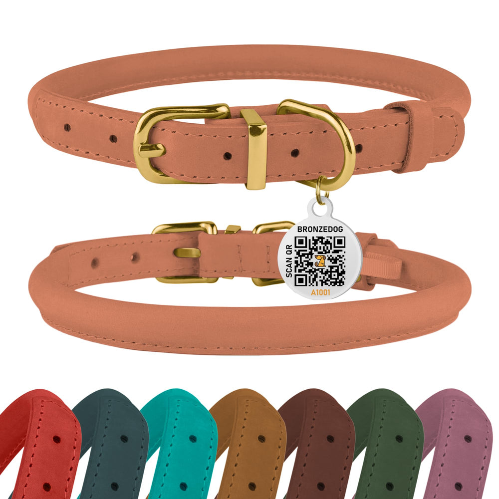 BronzeDog rolled leather collar in peach on a dog's neck for daily comfort.