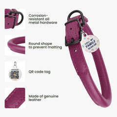 BRONZEDOG rolled leather collar pink berry hardware closeup emphasizes reliability for everyday wear.