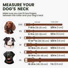 BronzeDog rolled leather collar in Black Night keeps fur tidy and comfortable.