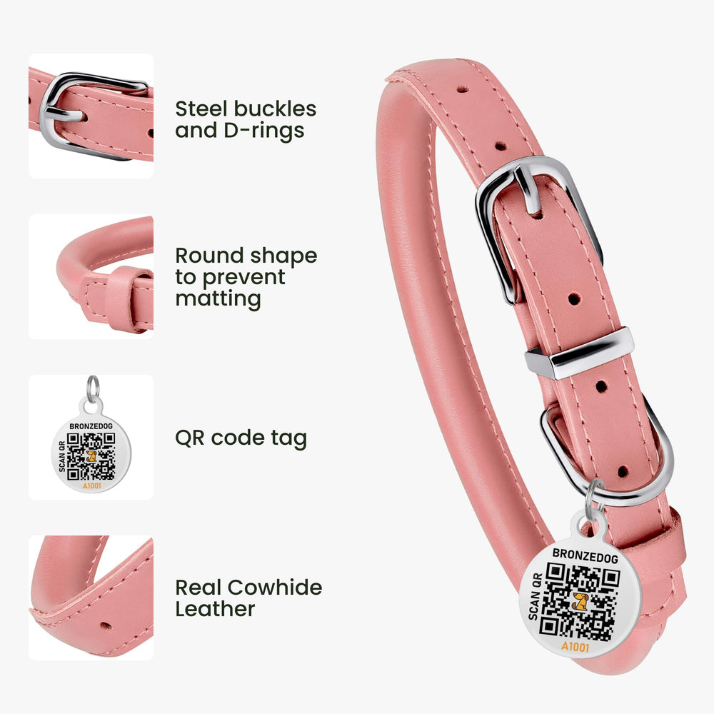 BRONZEDOG D-ring closeup for easy leash or ID tag attachment