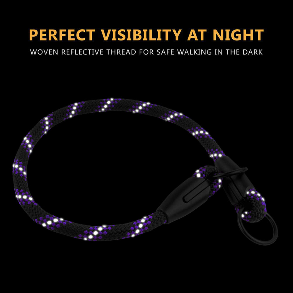 BronzeDog Rope Pro demonstrated for no-pull training during a walk.