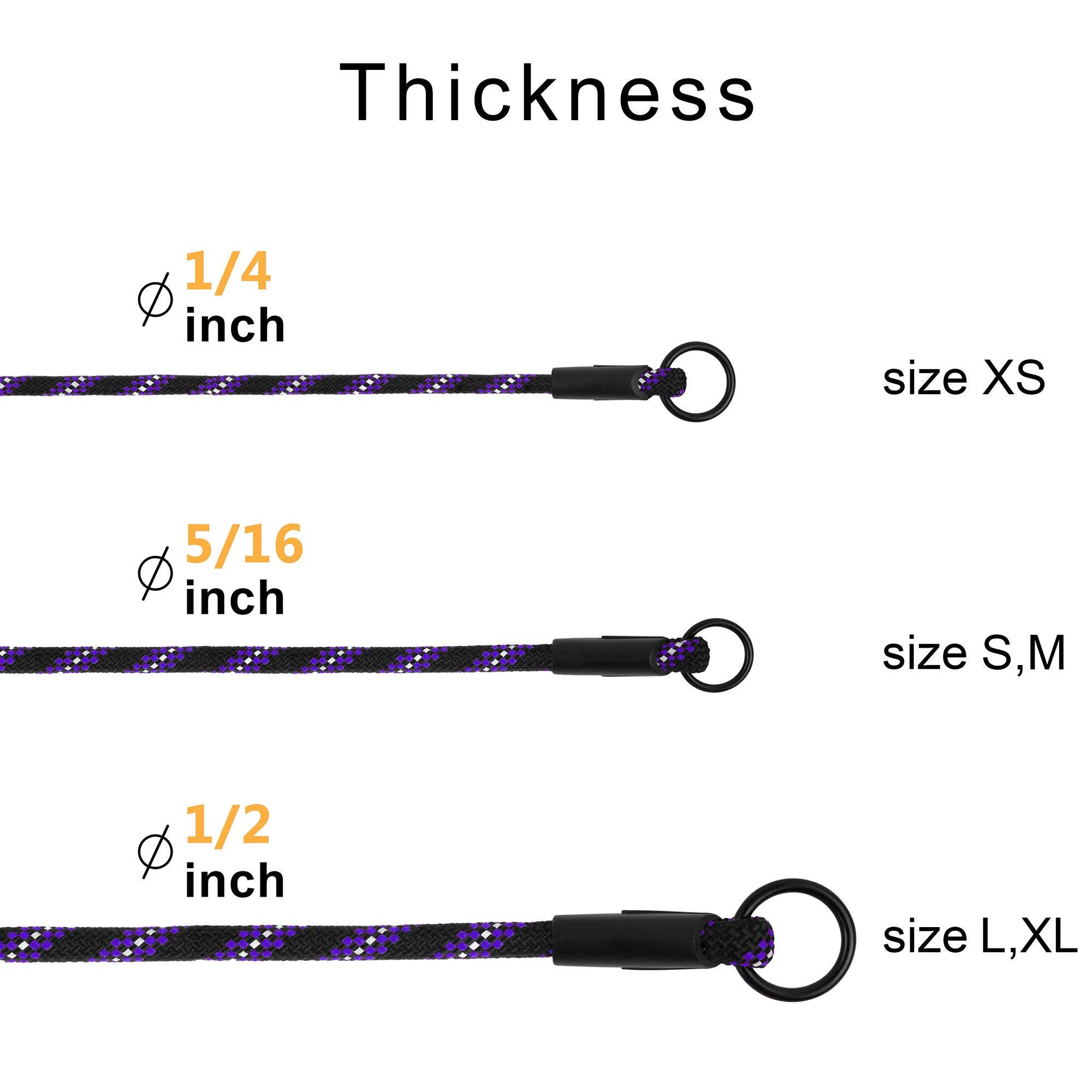 BronzeDog Rope Pro purple collar adds style during evening strolls.