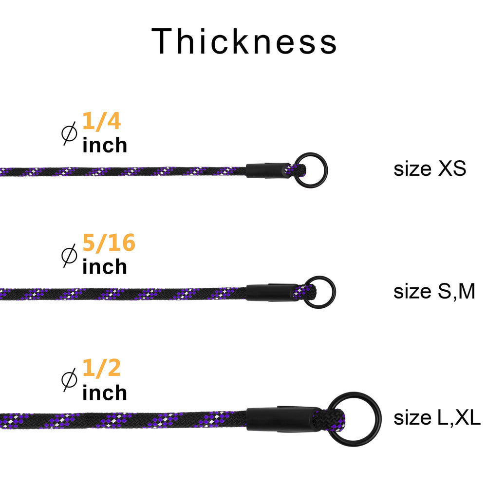 BronzeDog Rope Pro purple collar adds style during evening strolls.