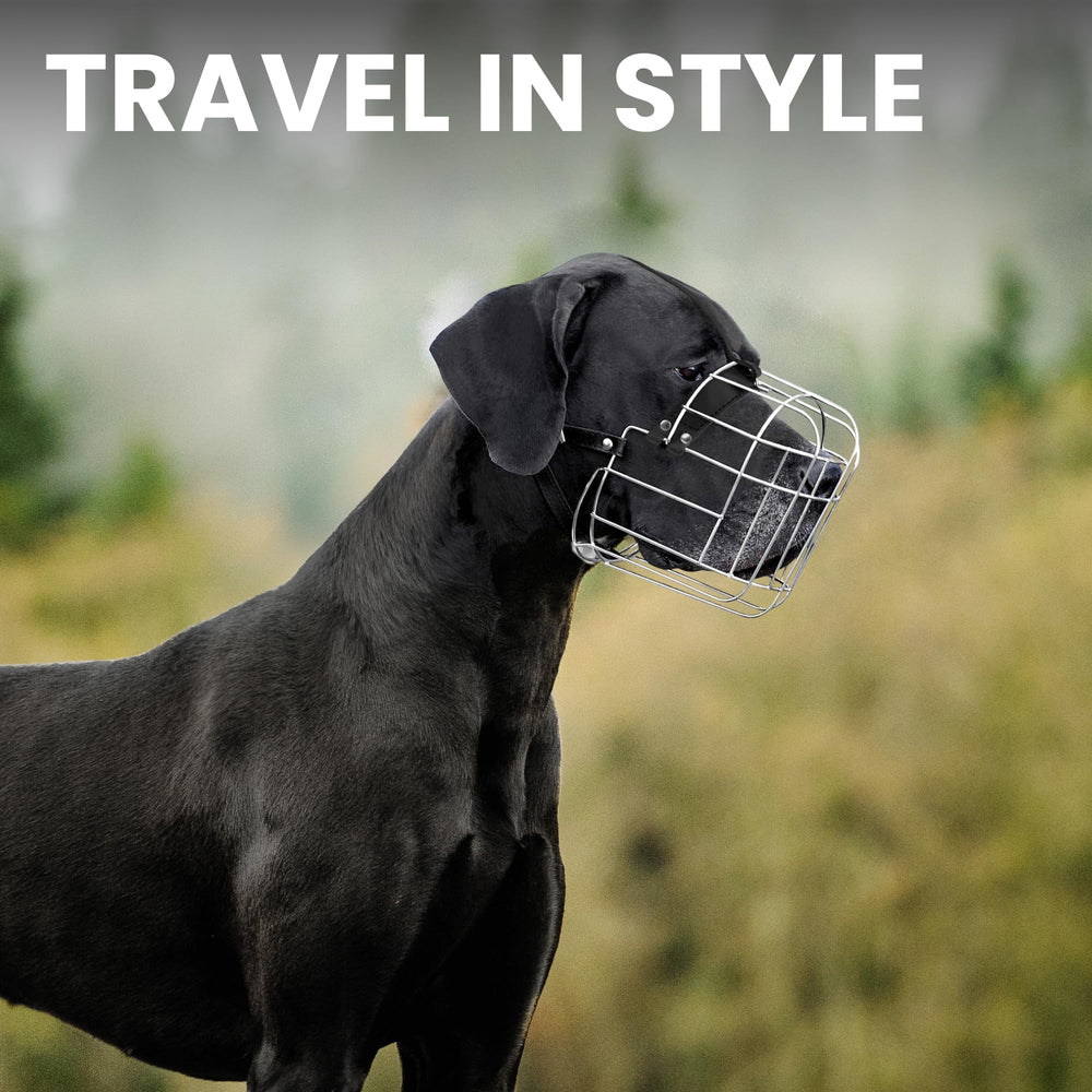 BRONZEDOG safety-bite-prevention muzzle helps calm meetups and reduce risk.