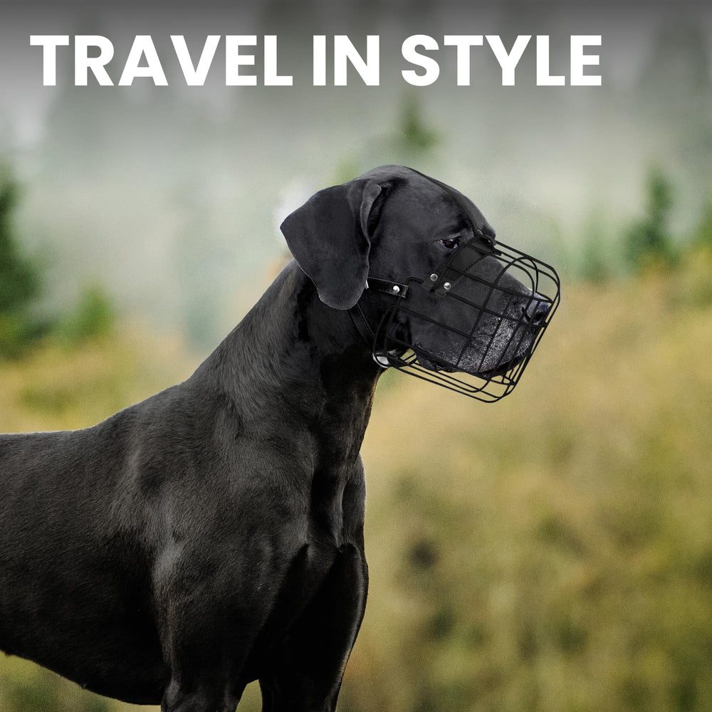BRONZEDOG training-use muzzle shows four adjustable straps for fit.