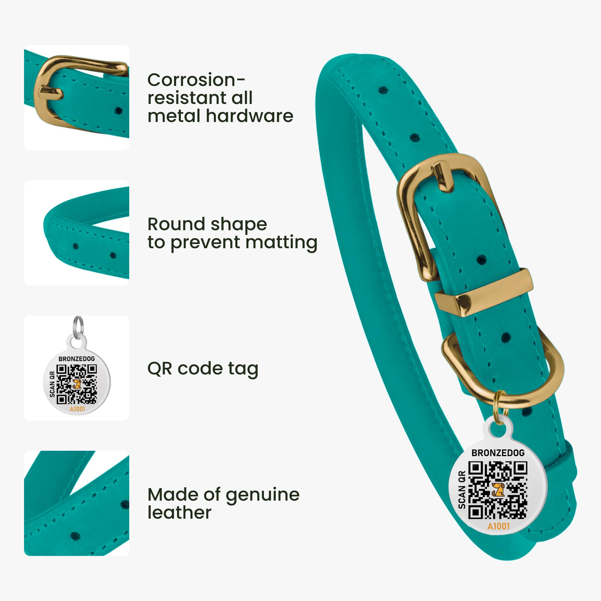BronzeDog turquoise collar on a small dog during a walk