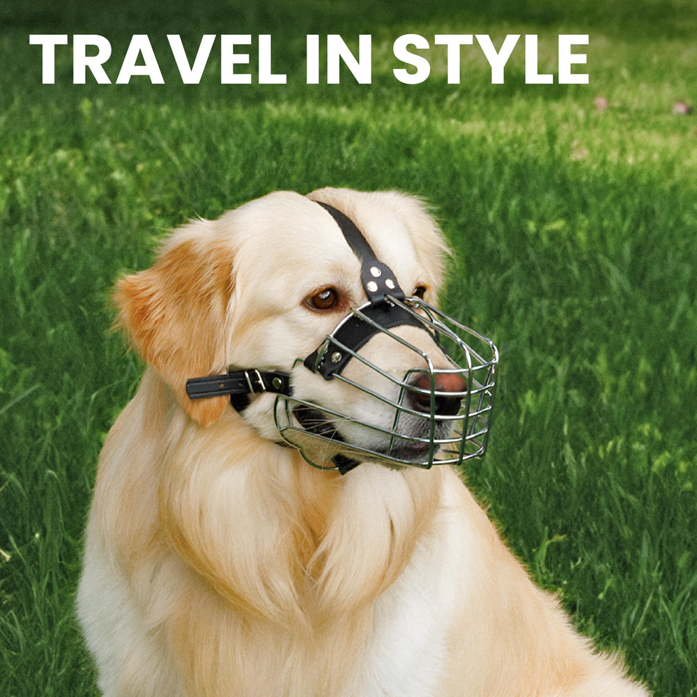 BRONZEDOG urban-friendly muzzle with stylish leather blend for professional looks
