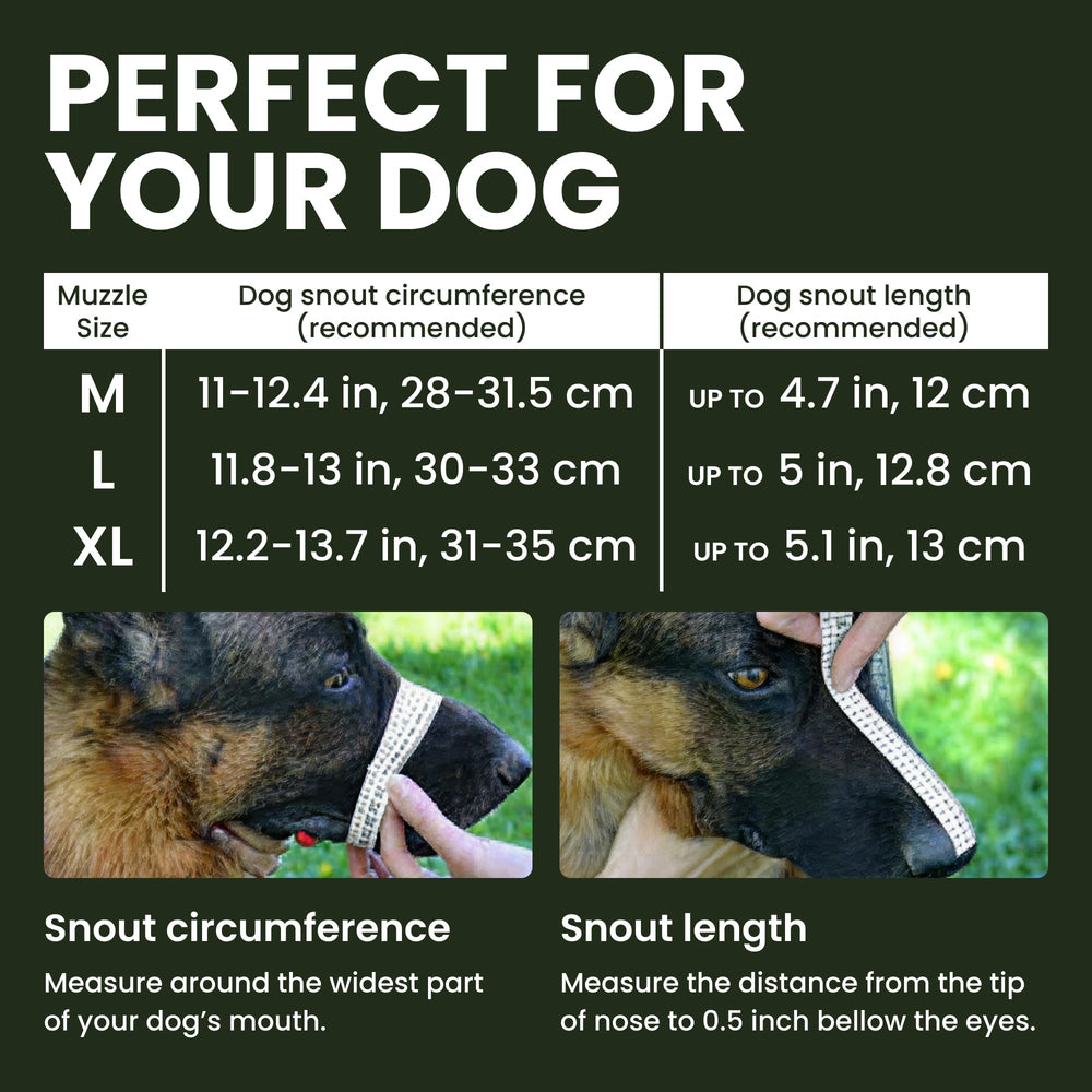 BRONZEDOG ventilated basket design supports panting and water access.