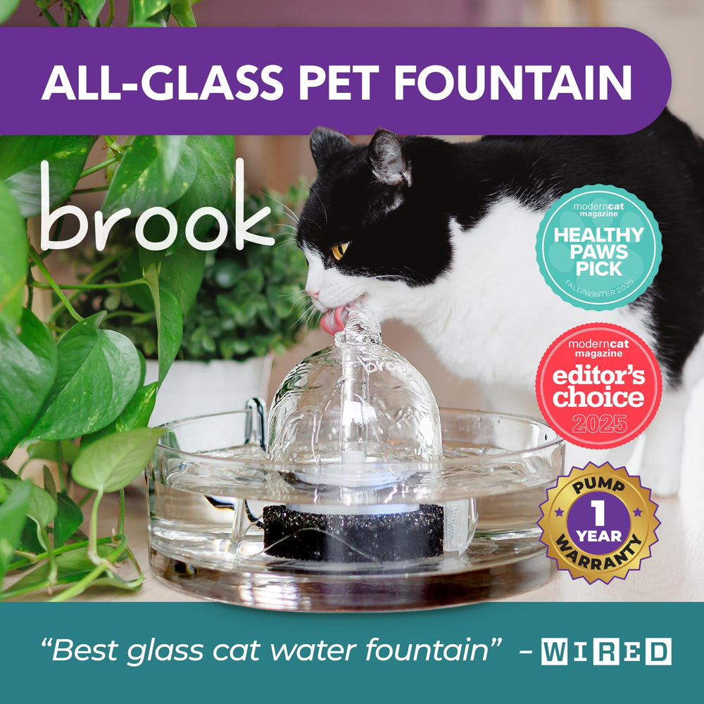 Brook Glass Pet Fountain cleans quickly in dishwasher or by hand.