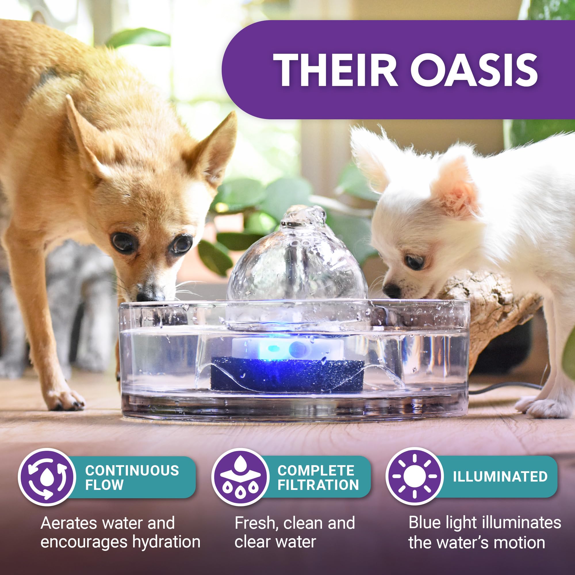 Brook Glass Pet Fountain flow adjustment demonstrates customizable drinking with three levels.
