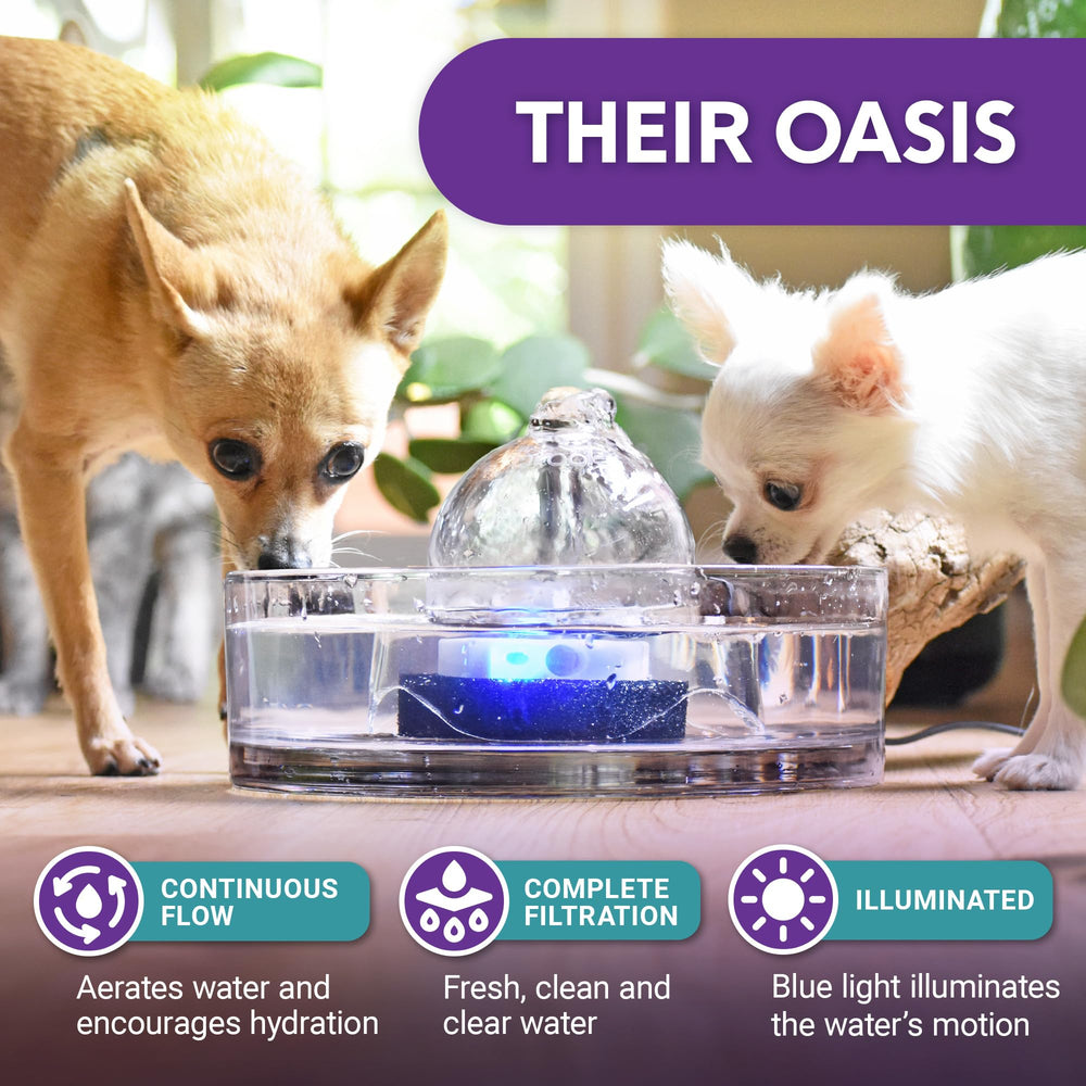 Brook Glass Pet Fountain flow adjustment demonstrates customizable drinking with three levels.