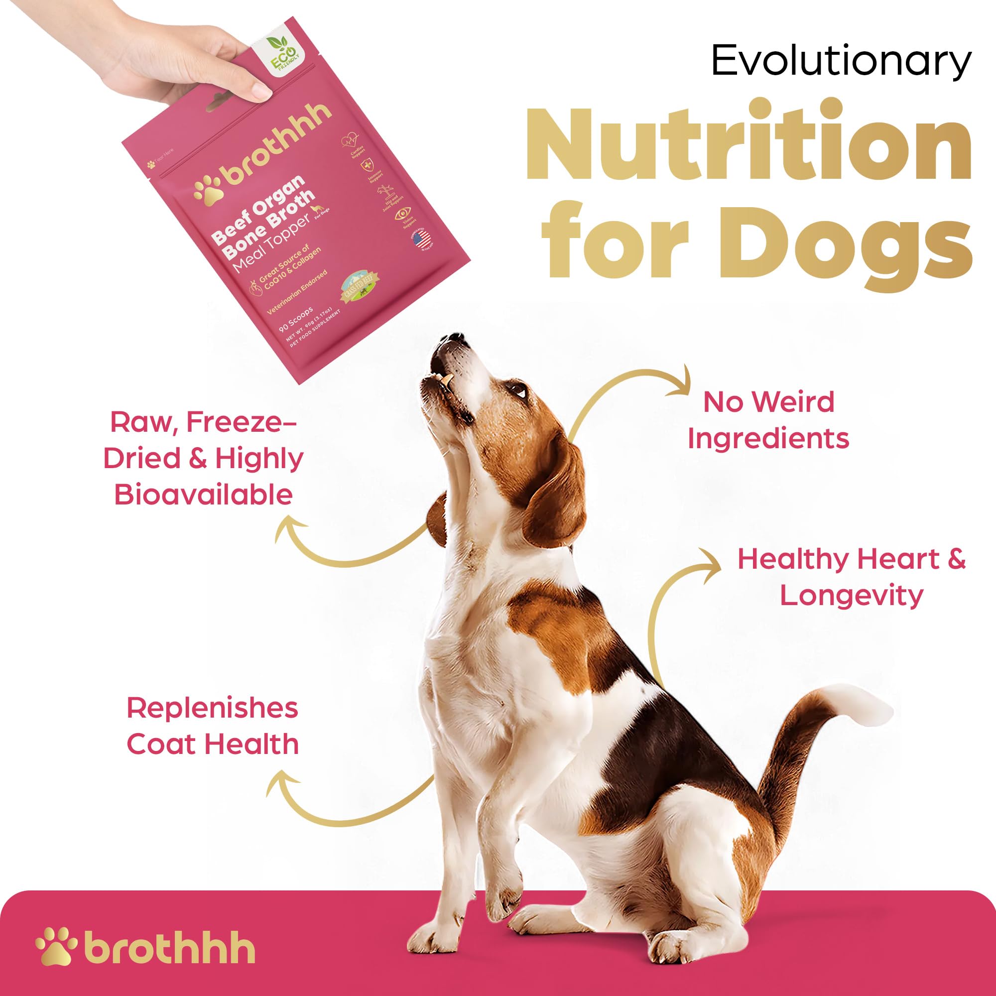 Veterinarian-approved supplement trusted by professionals.