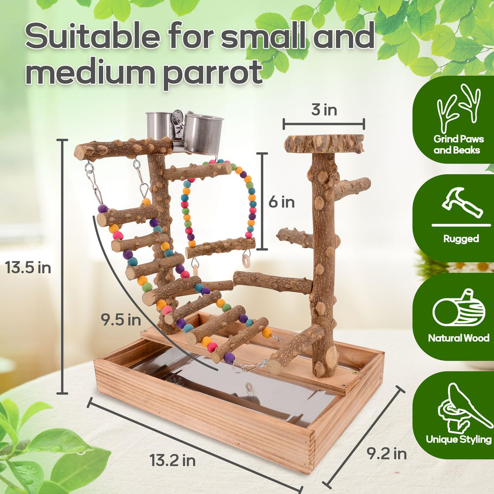 BRSLAIF Bird Playground swing demonstrates enrichment through active exercise and beak-friendly toys.