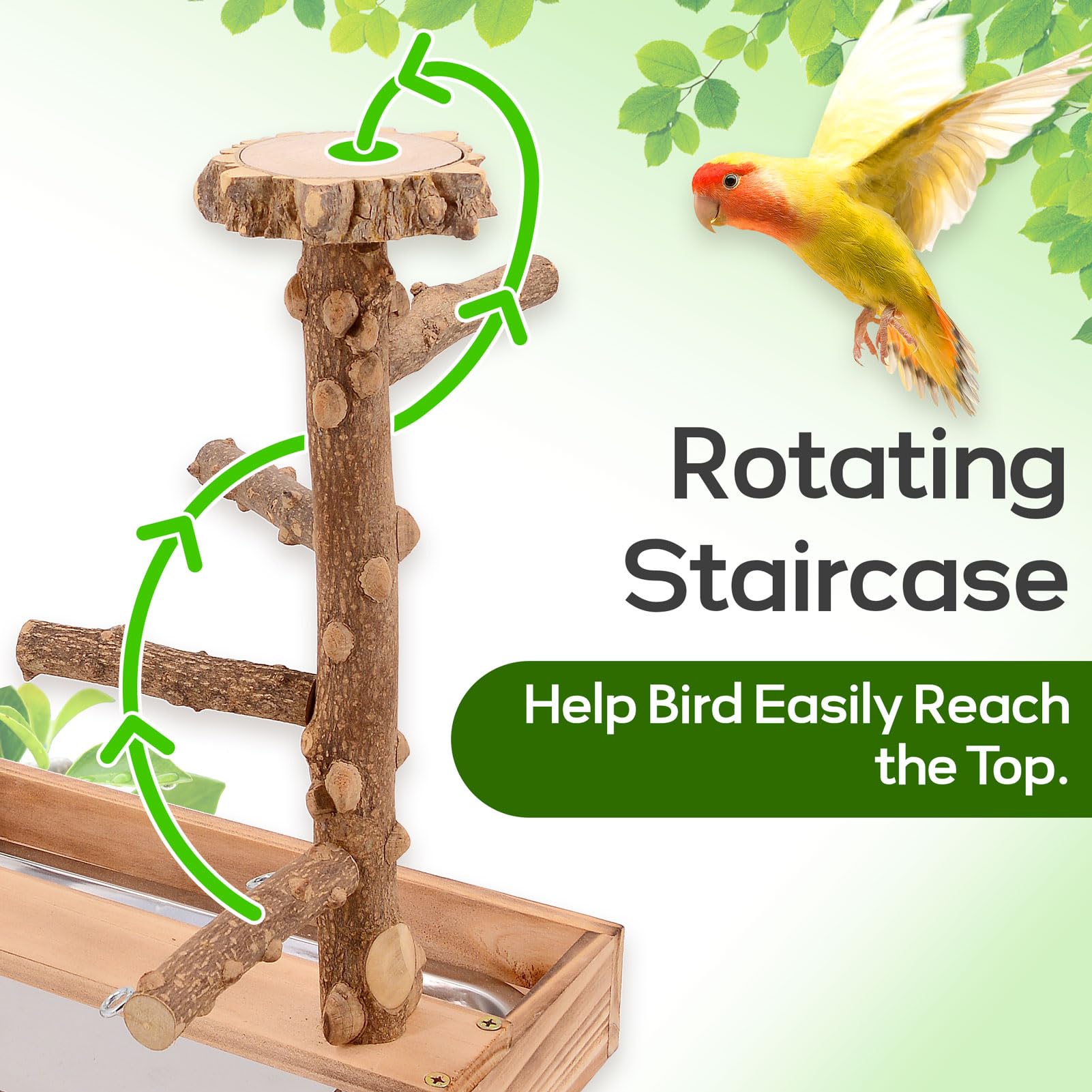 BRSLAIF Bird Playground two stems shows dual-use design promoting movement and exploration.
