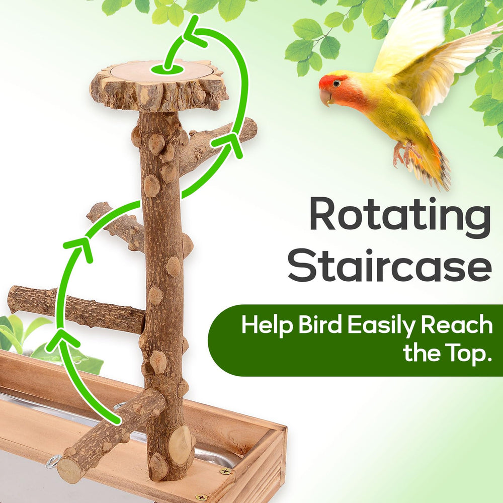 BRSLAIF Bird Playground two stems shows dual-use design promoting movement and exploration.