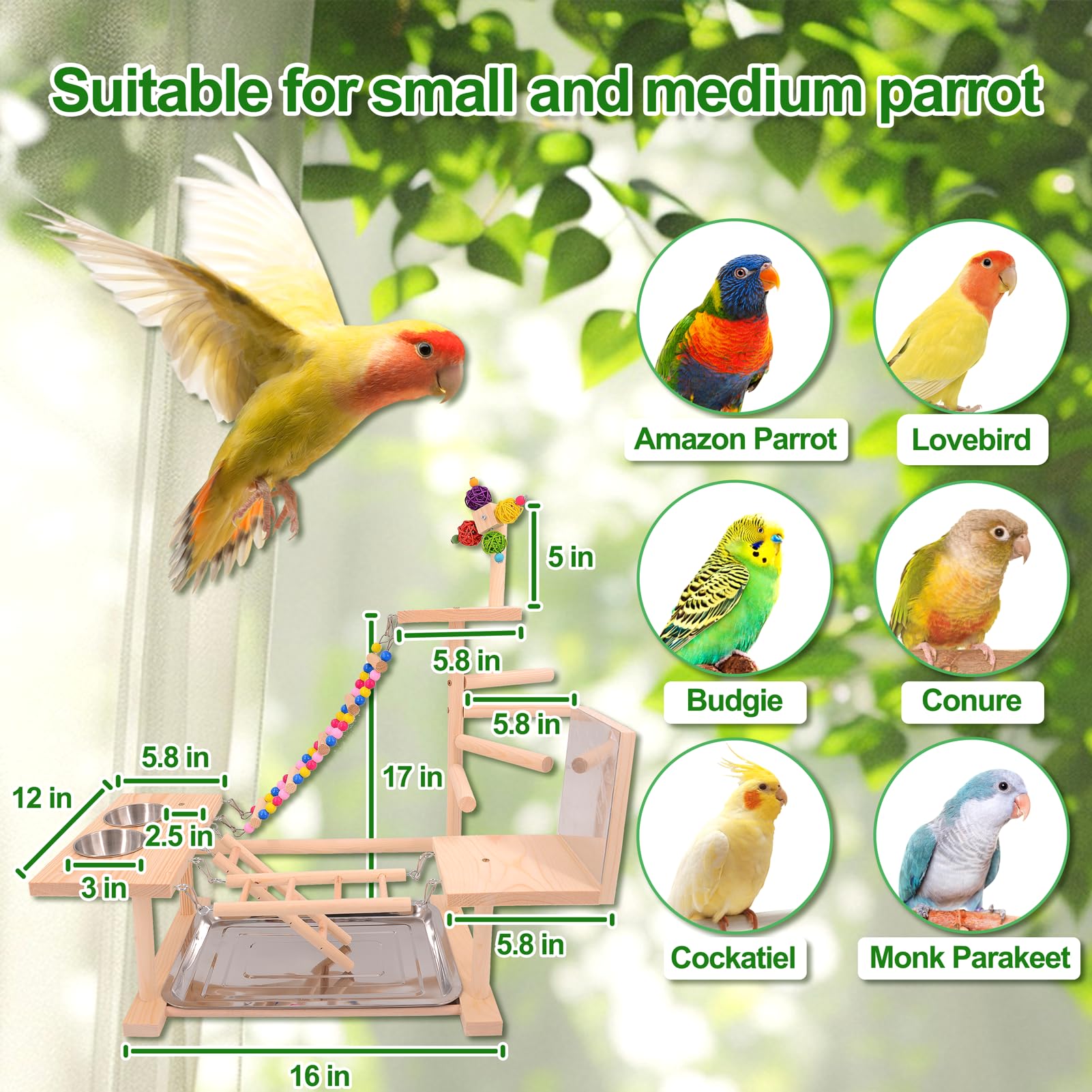 BRSLAIF out-of-cage bird play area image showing safe enrichment and interaction