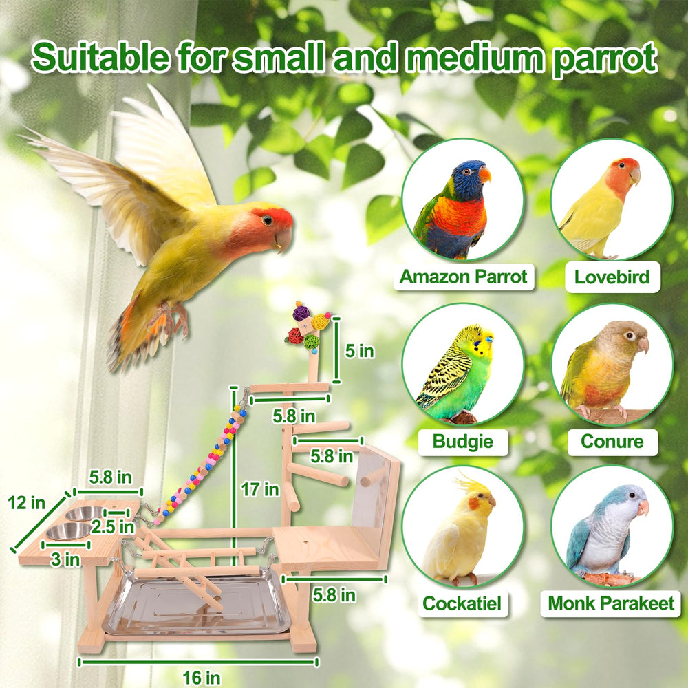 BRSLAIF out-of-cage bird play area image showing safe enrichment and interaction
