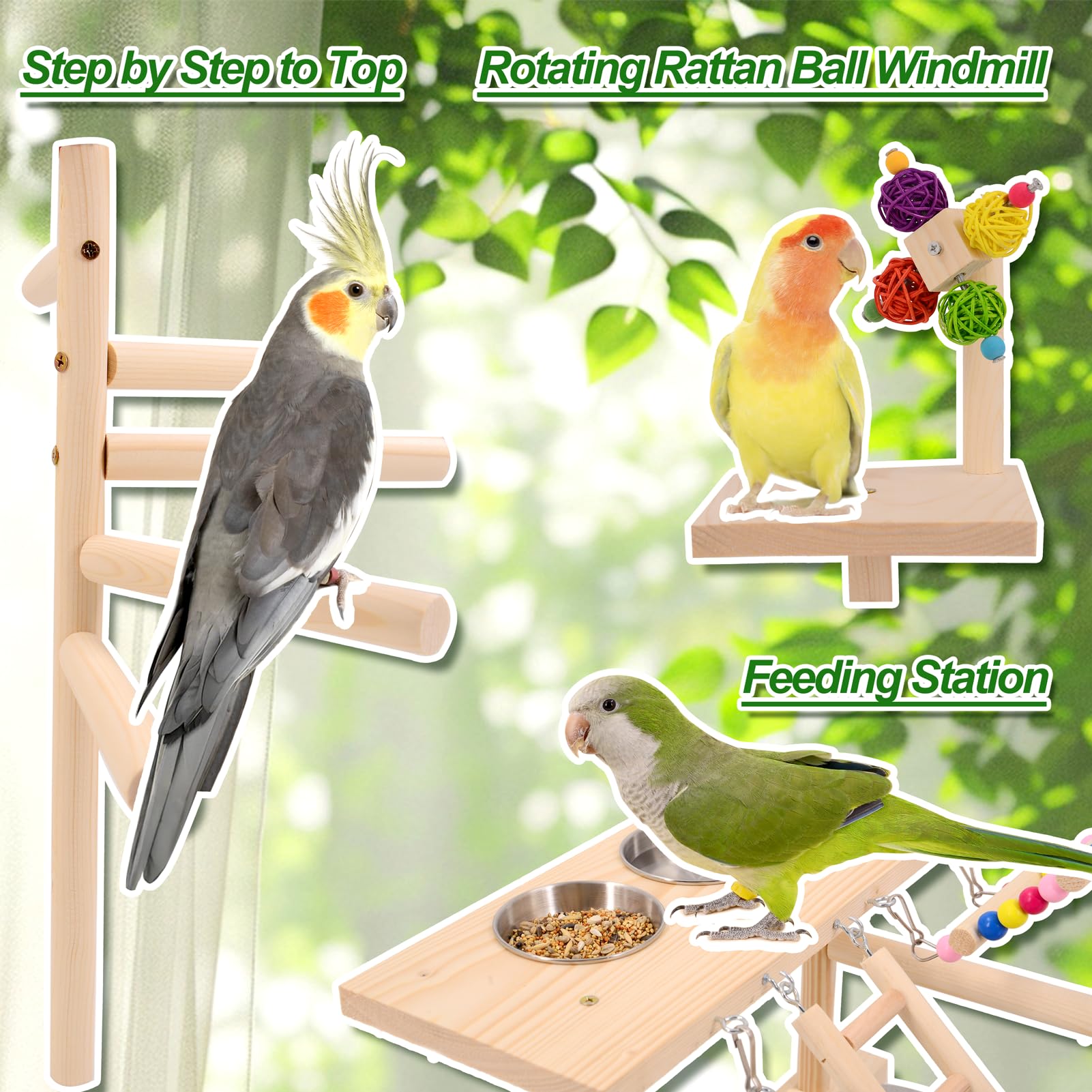 BRSLAIF wooden bird perches ladders setup emphasizes connected platforms for a natural workout circuit