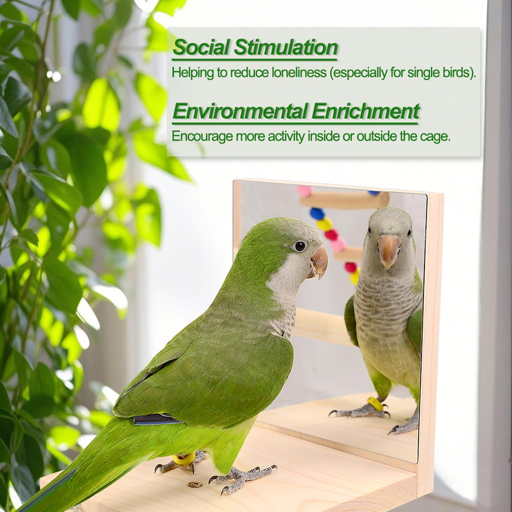 BRSLAIF wooden bird playground side view highlights ladders for climbing and exploration