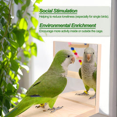 BRSLAIF wooden bird playground side view highlights ladders for climbing and exploration