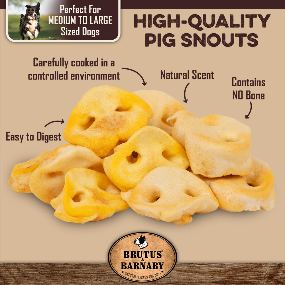 brutus & barnaby pig snout digestible chew closeup safe long-lasting chew