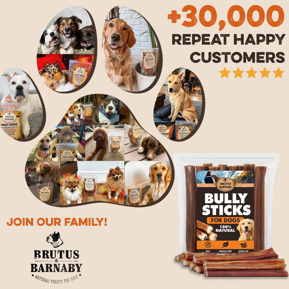 BRUTUS & BARNABY no hormones or preservatives for simple chews.
