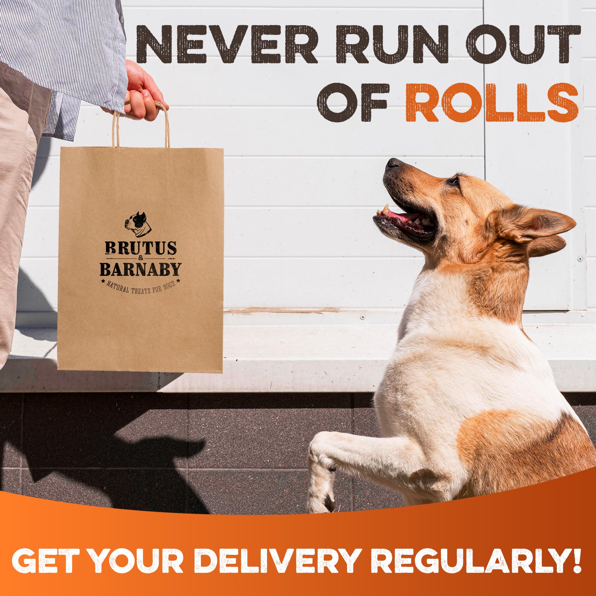BRUTUS & BARNABY beef cheek rolls 5-pack display includes durable packaging for storage