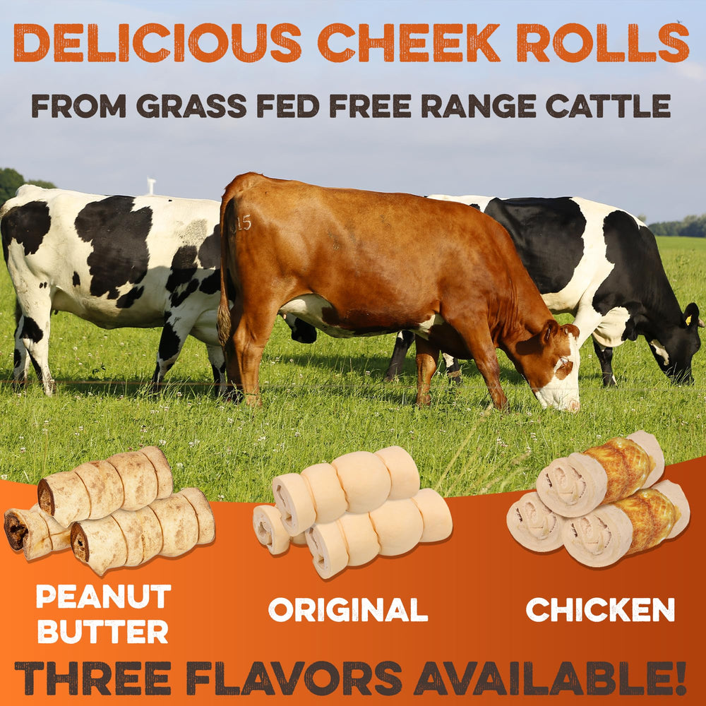 BRUTUS & BARNABY beef cheek rolls fully-digestible close-up emphasizes safety and digestion