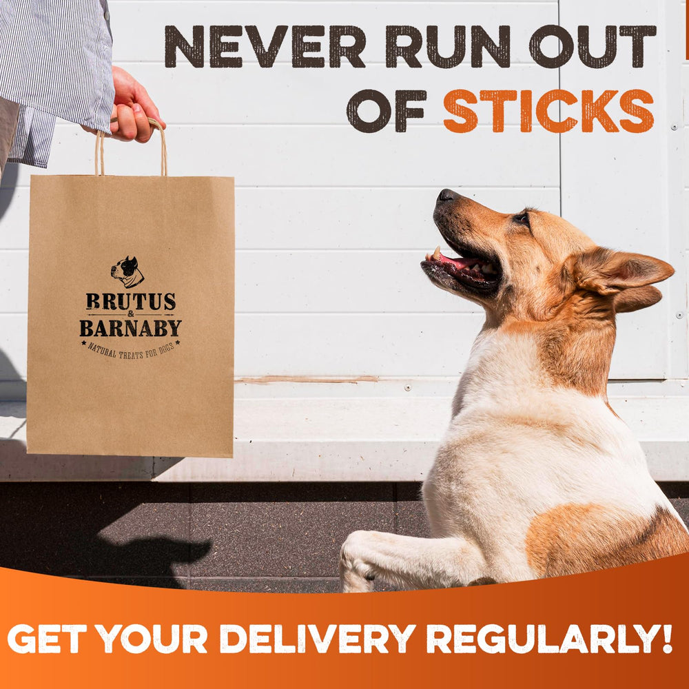 BRUTUS & BARNABY certified facility badge emphasizes quality and batch-tested assurance